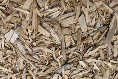biomass boilers Tarleton Moss