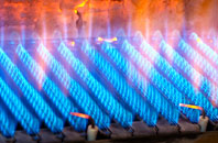 Tarleton Moss gas fired boilers